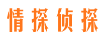 文县找人公司